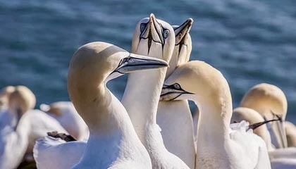 深圳尊易酒业有限公司成立 注册资本50万人民币