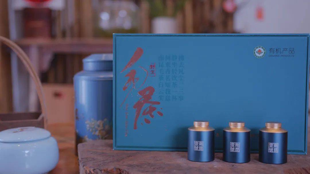 惠州周末去哪玩？深度体验温泉、品茶、客家古韵...