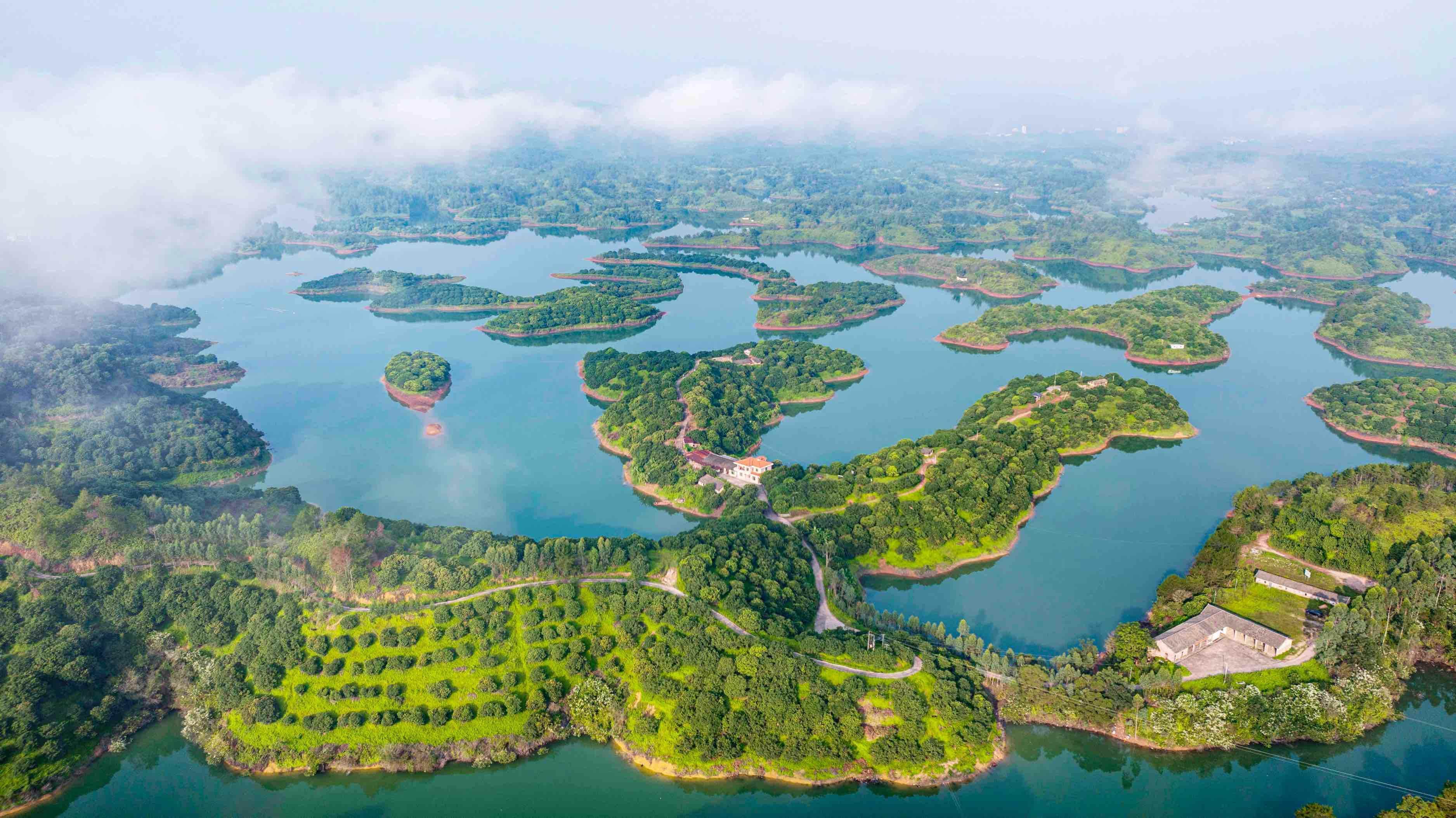 万人共品客家炒绿！这场盛会在梅州五华举行，球迷直呼“太会玩了”