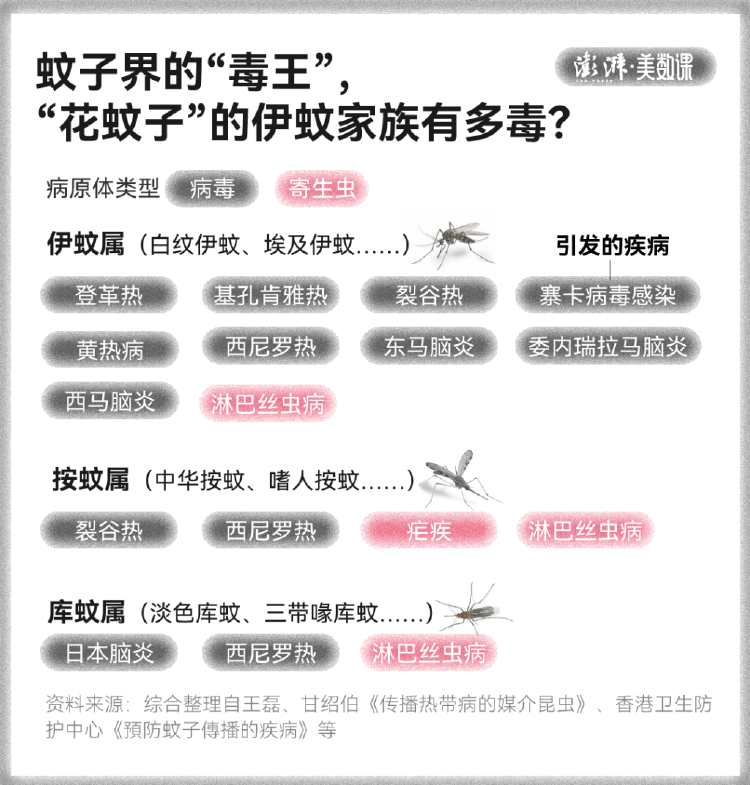 全球“最毒”的蚊子，为何批量北上