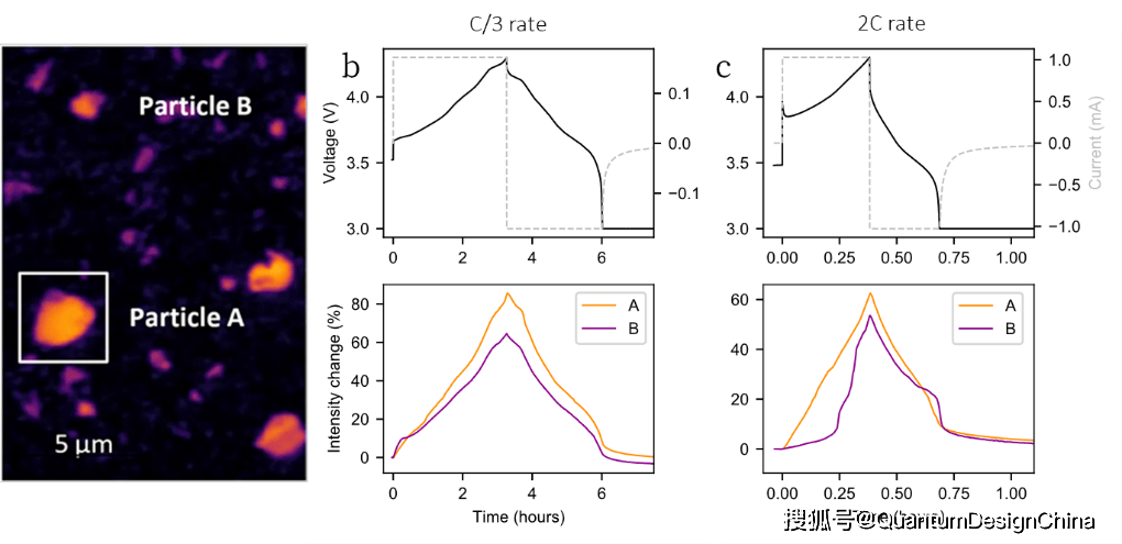 Quantum Design和英国illumion公司在全球主要市场达成战略分销合作