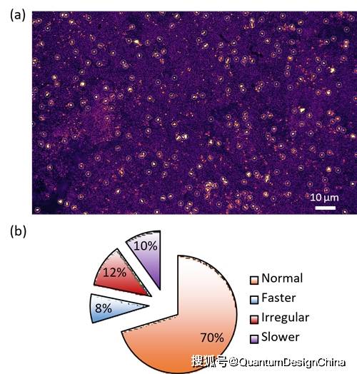 Quantum Design和英国illumion公司在全球主要市场达成战略分销合作