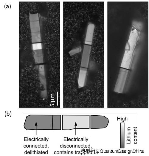 Quantum Design和英国illumion公司在全球主要市场达成战略分销合作