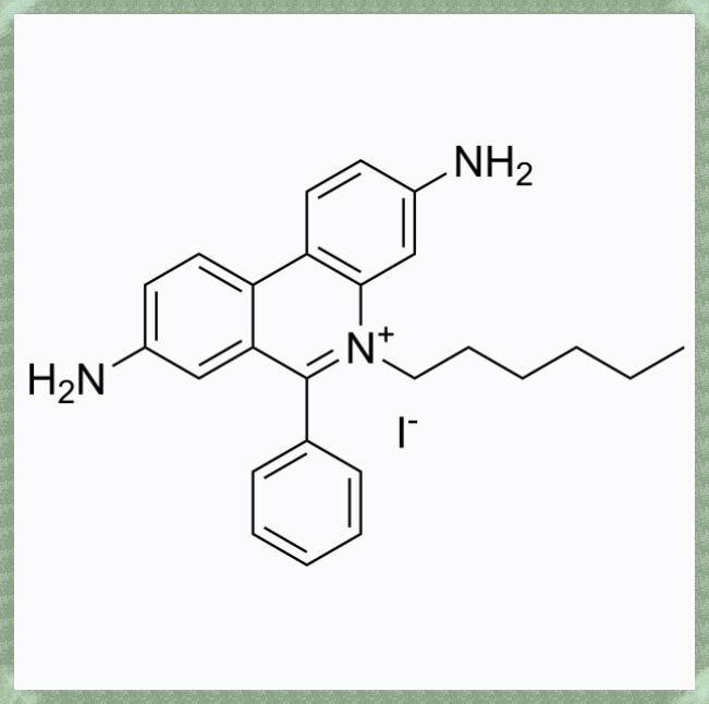 碘化乙啶(HI)，Ethidium Iodide可用于核酸染色与细胞分析