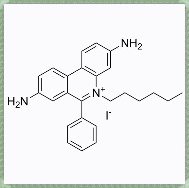 Ethidium Iodide：碘化乙啶(HI)的实验示例，CAS NO：211566-66-4