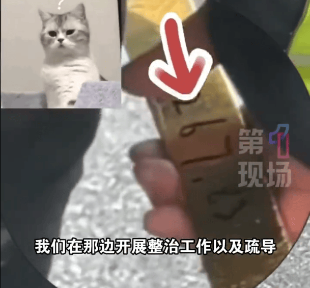 深圳一市民捡到2267.83克巨型金条，警方介入找到失主，网友：巧克力我都不敢买这么大的