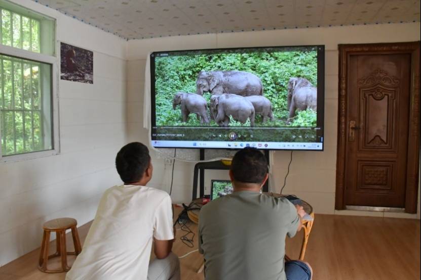 云南省委书记王宁：这朵“云”，是云南的新优势