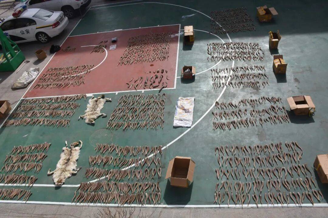 “饭已做好，速来品尝”，这句暗号藏着意想不到的真相……