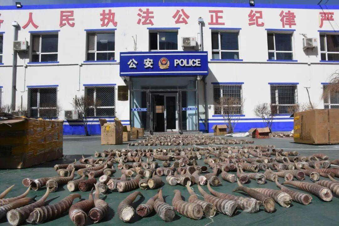 “饭已做好，速来品尝”，这句暗号藏着意想不到的真相……