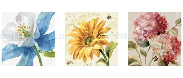 单词“Rocket bubble”成商标；Keith再代理5张版权图