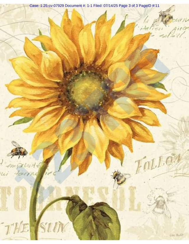 单词“Rocket bubble”成商标；Keith再代理5张版权图