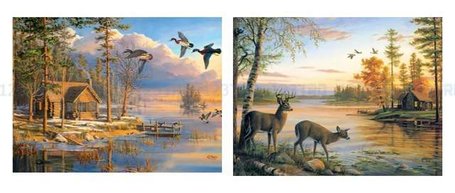 单词“Rocket bubble”成商标；Keith再代理5张版权图