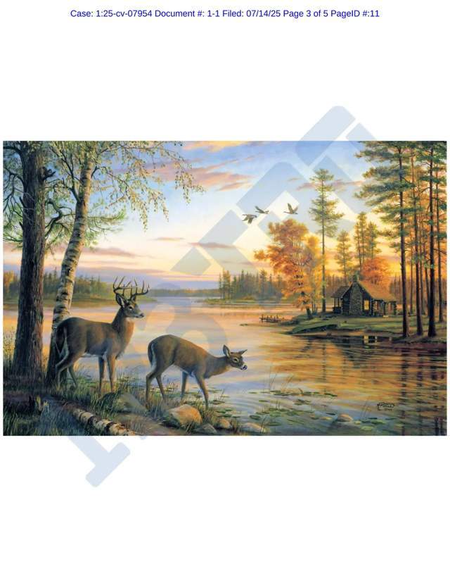 单词“Rocket bubble”成商标；Keith再代理5张版权图