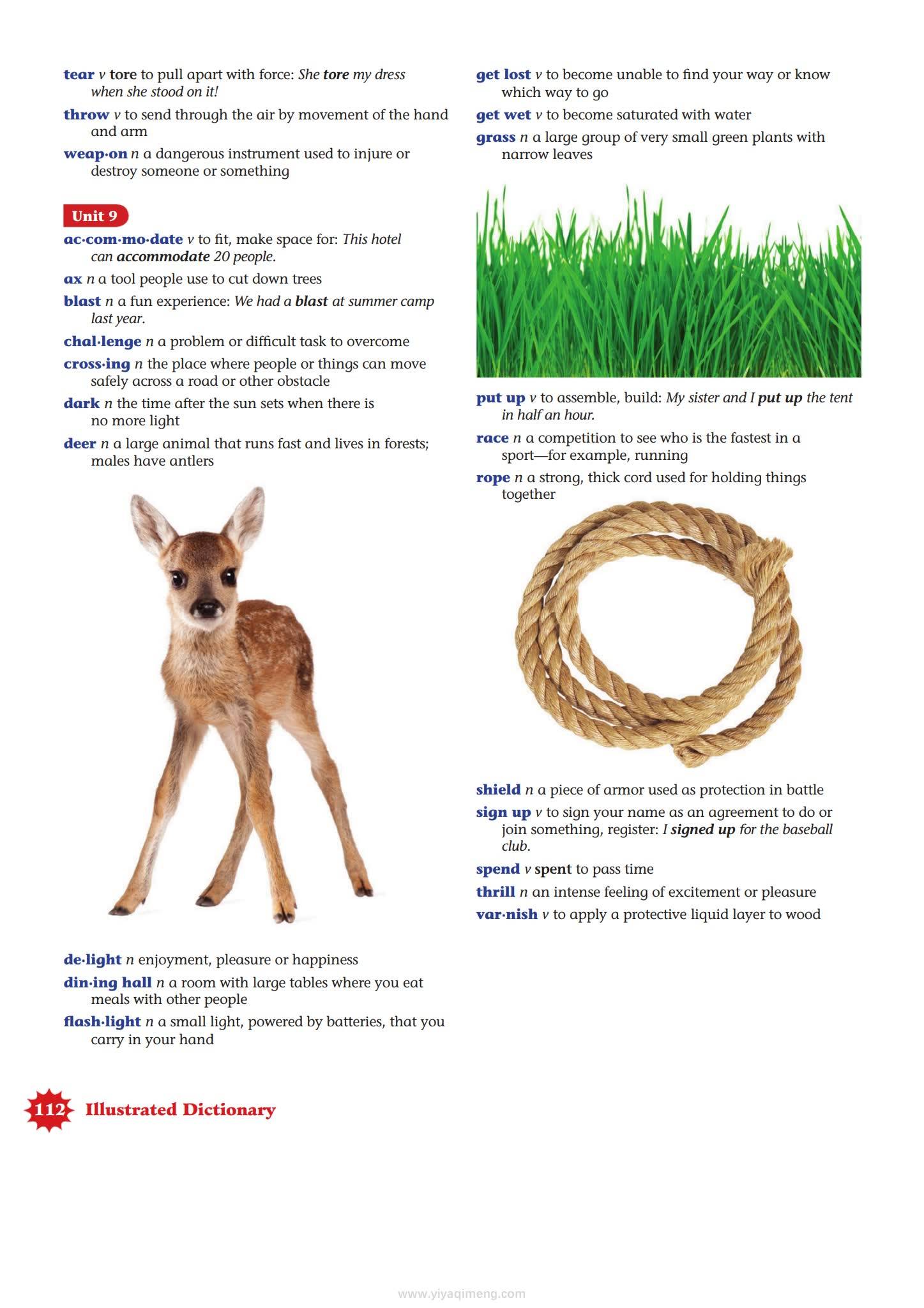 Richmond《Skyrocket》美式英语小学教材 电子版PDF 网盘下载