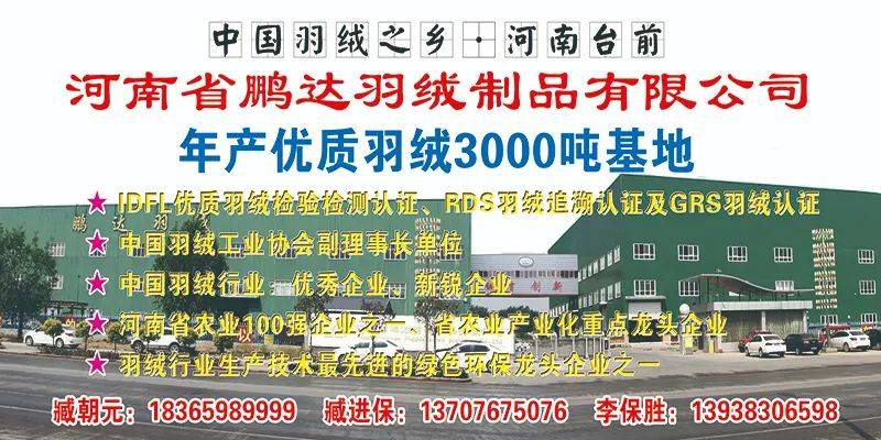 【金网发布】2025年8月20日羽绒价格行情 Price of Down on August 20th, 2025