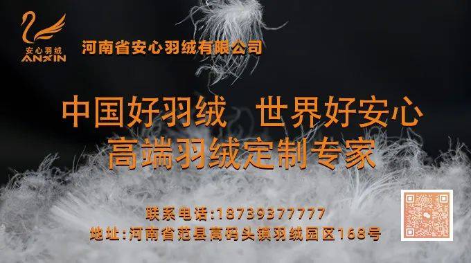 【金网发布】2025年8月22日羽绒价格行情 Price of Down on August 22nd, 2025