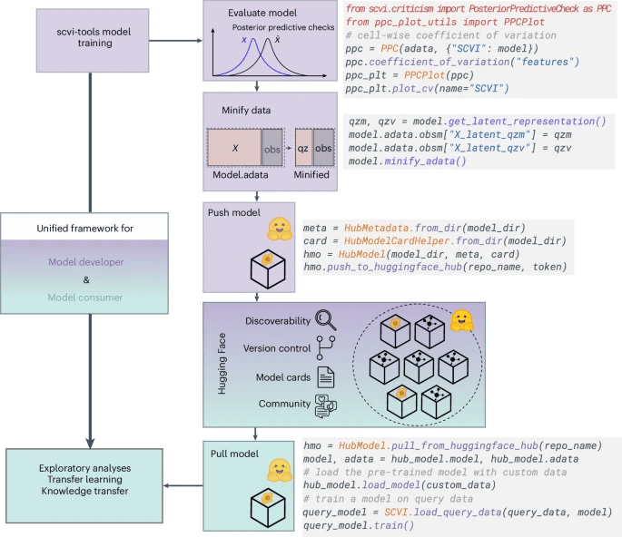 单细胞数据不再「海量难搬」，scvi-hub让实验室轻松调用模型与参考图谱