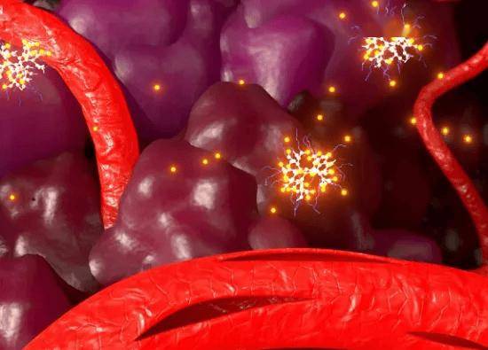 【新股上市】矿砂公司Everlast Minerals Ltd (ASX:EV8)挂牌澳交所 首秀暴涨55%