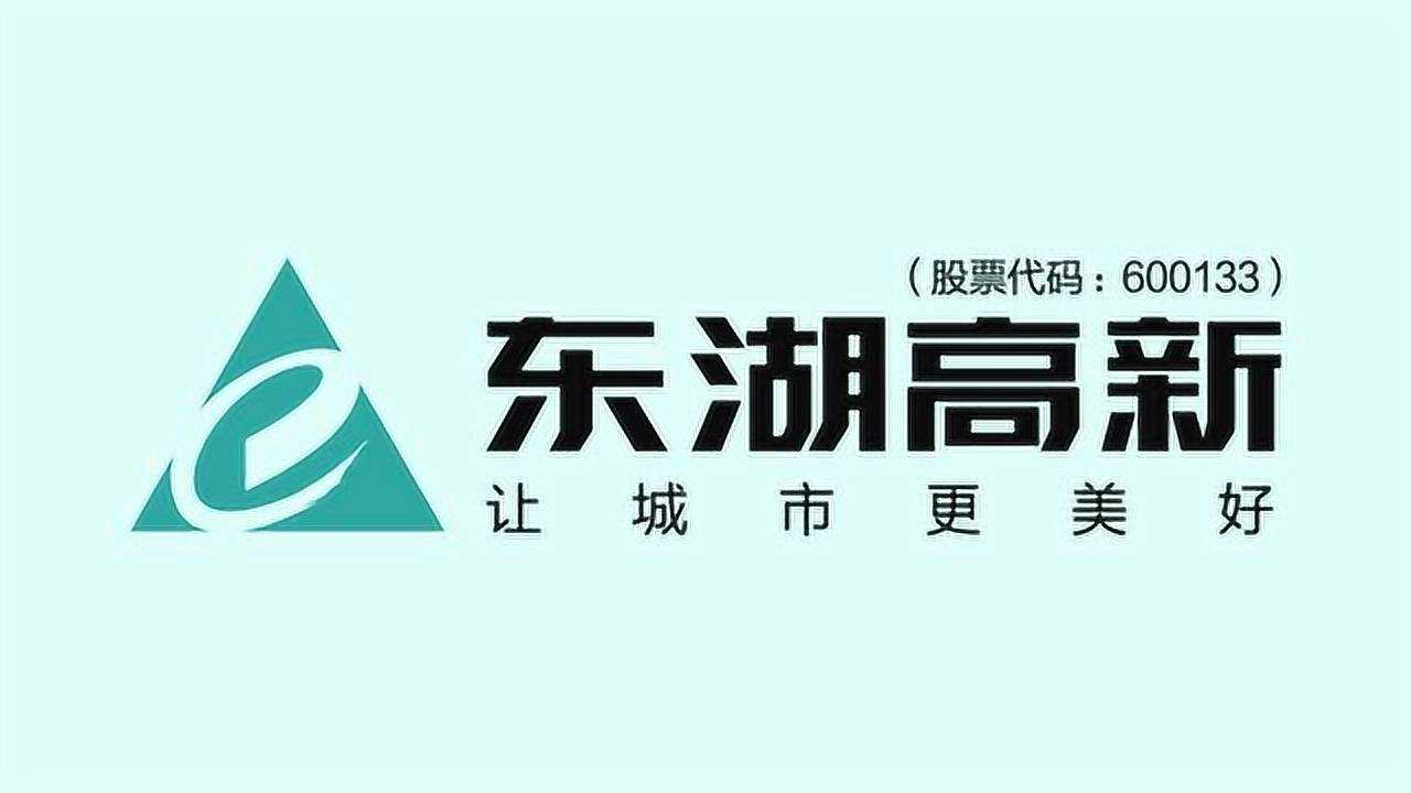 东湖高新股票(东湖高新股票未来前景)