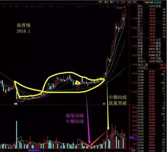 海普瑞股票(海普瑞是什么公司)