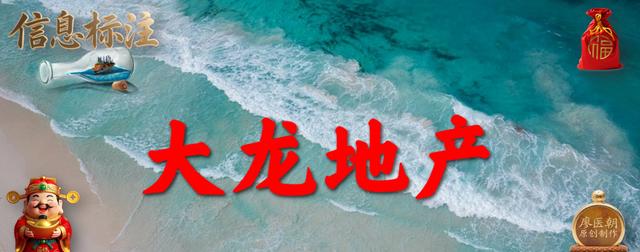 大龙地产股票(大龙地产股票今天)